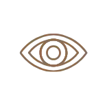 our vision